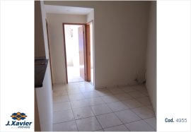ID 4955