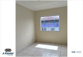 ID 4955