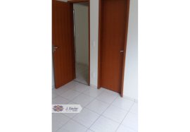ID 8155