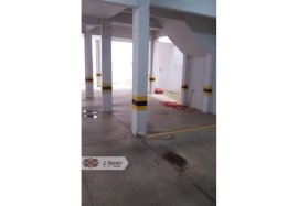 ID 8155